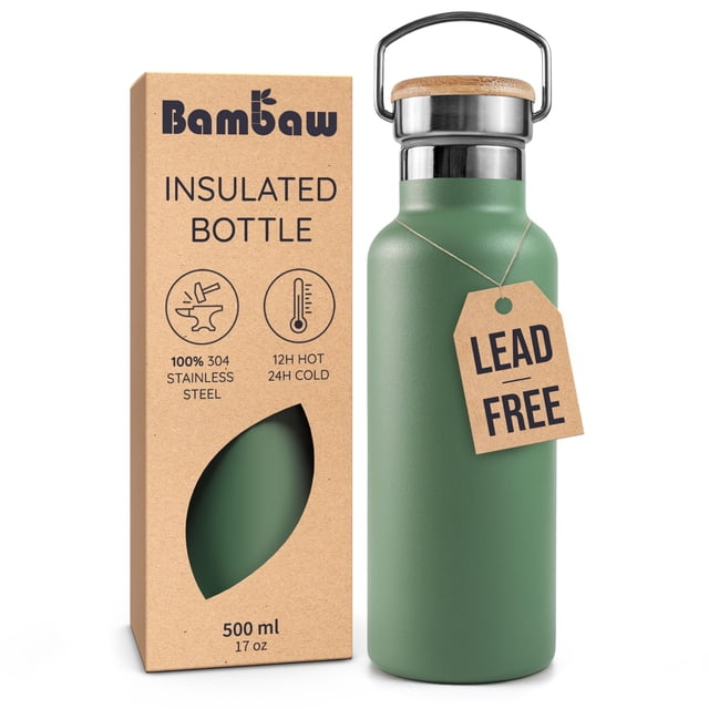Botella de Agua de Acero Inoxidable Aislada Bambaw de 16 oz con Asa - Botella de Viaje Verde