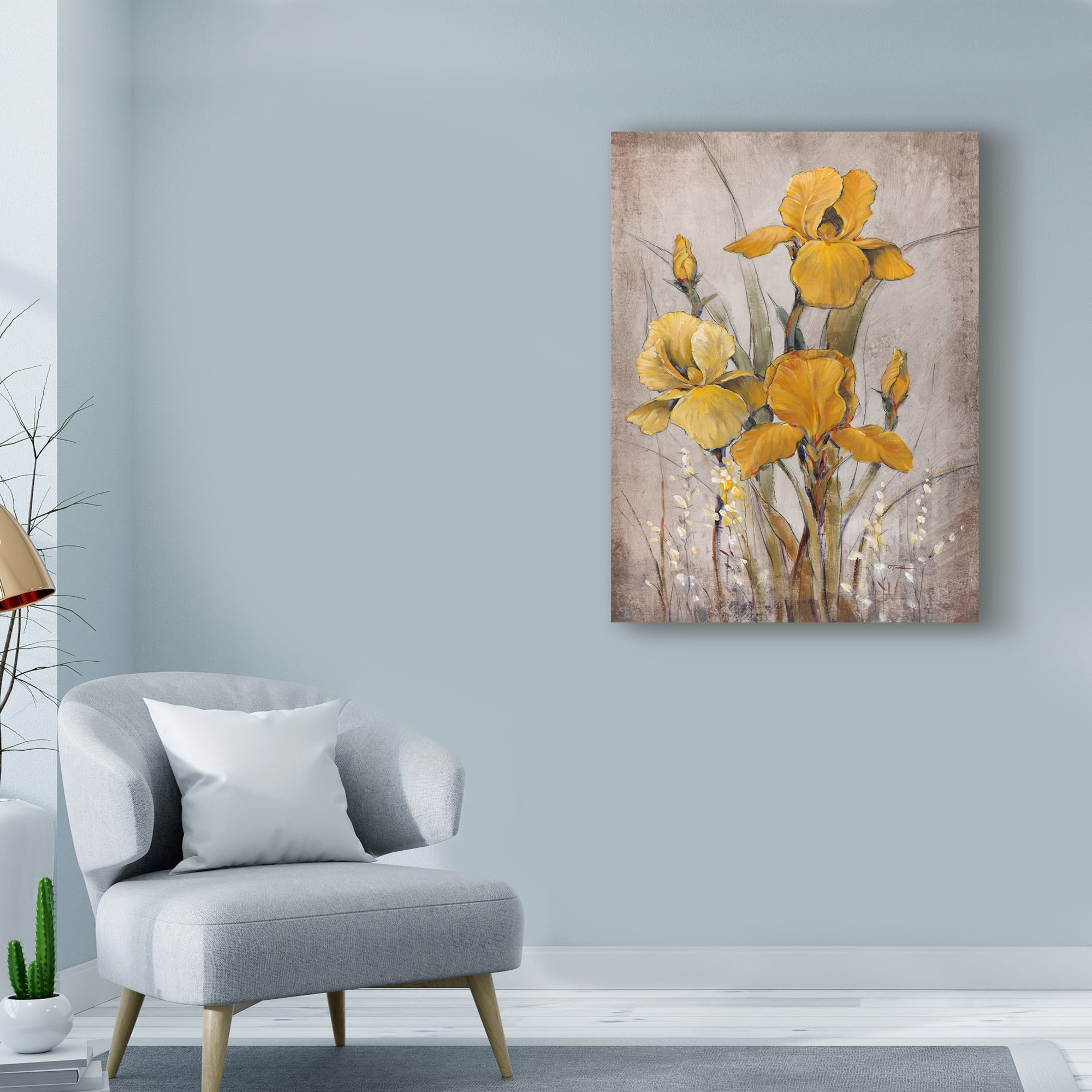 Trademark Fine Art 'Golden Irises II' Canvas Art by Tim OToole