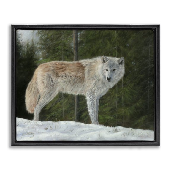 Stupell Industries Traditional Wild Coyote Wolf Gazing Snowy Forest Clearing Black Floating Frame Canvas Art, 21 x 17, by David Stribbling