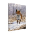thumbnail image 2 of Trademark Fine Art 'Red Fox Center' Canvas Art by Nigel Artingstall, 2 of 3