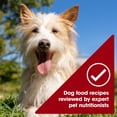 thumbnail image 6 of Nature's Recipe Grain Free Chicken & Beef in Savory Broth Wet Dog Food, 2.75 oz Cup, 6 of 13