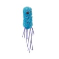 thumbnail image 3 of Regalo educativo de peluche GiantMicrobes Pseudomonas Bacterias, 20 cm, 3 of 5