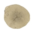 thumbnail image 2 of Mesa Acme Gene Round Accent, color marrón natural, 2 of 4