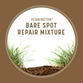 Pennington Bare Spot Repair YPF5 Penkoted Grass Seed Mixture Central 1