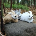 thumbnail image 5 of Y Realistic Plush Rabbit Figurine For Home Decor 15Cm Cute Animal Simulation Toy, 5 of 5