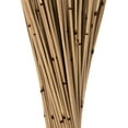 thumbnail image 4 of Vickerman 30" Natural Marsh Reed bundle tied with rafia, 10 oz, Dried, 4 of 4