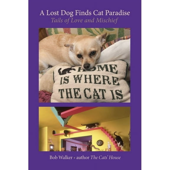 A Lost Dog Finds Cat Paradise, (Hardcover)