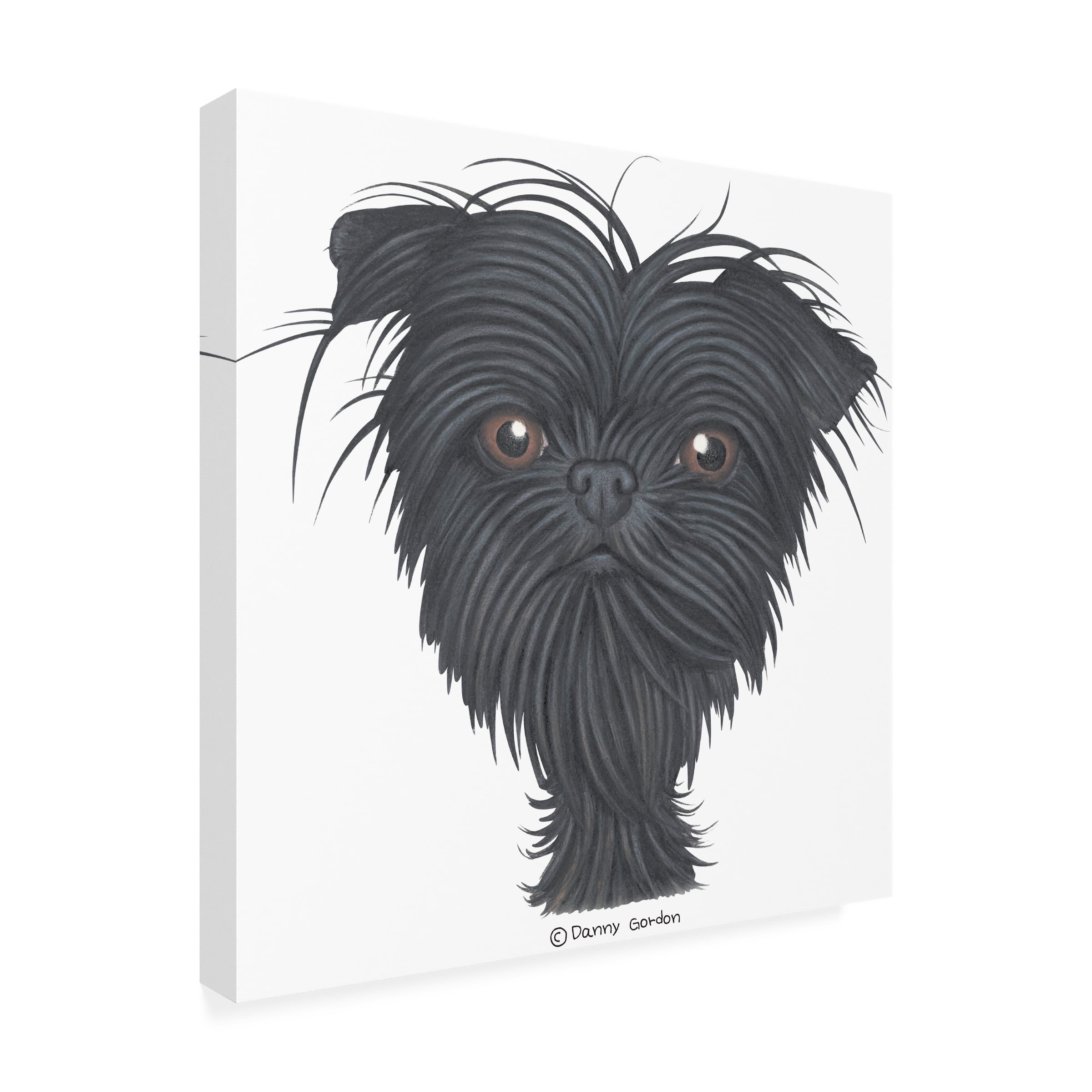 Danny Gordon Art 'Affenpinscher Bust' Canvas Art