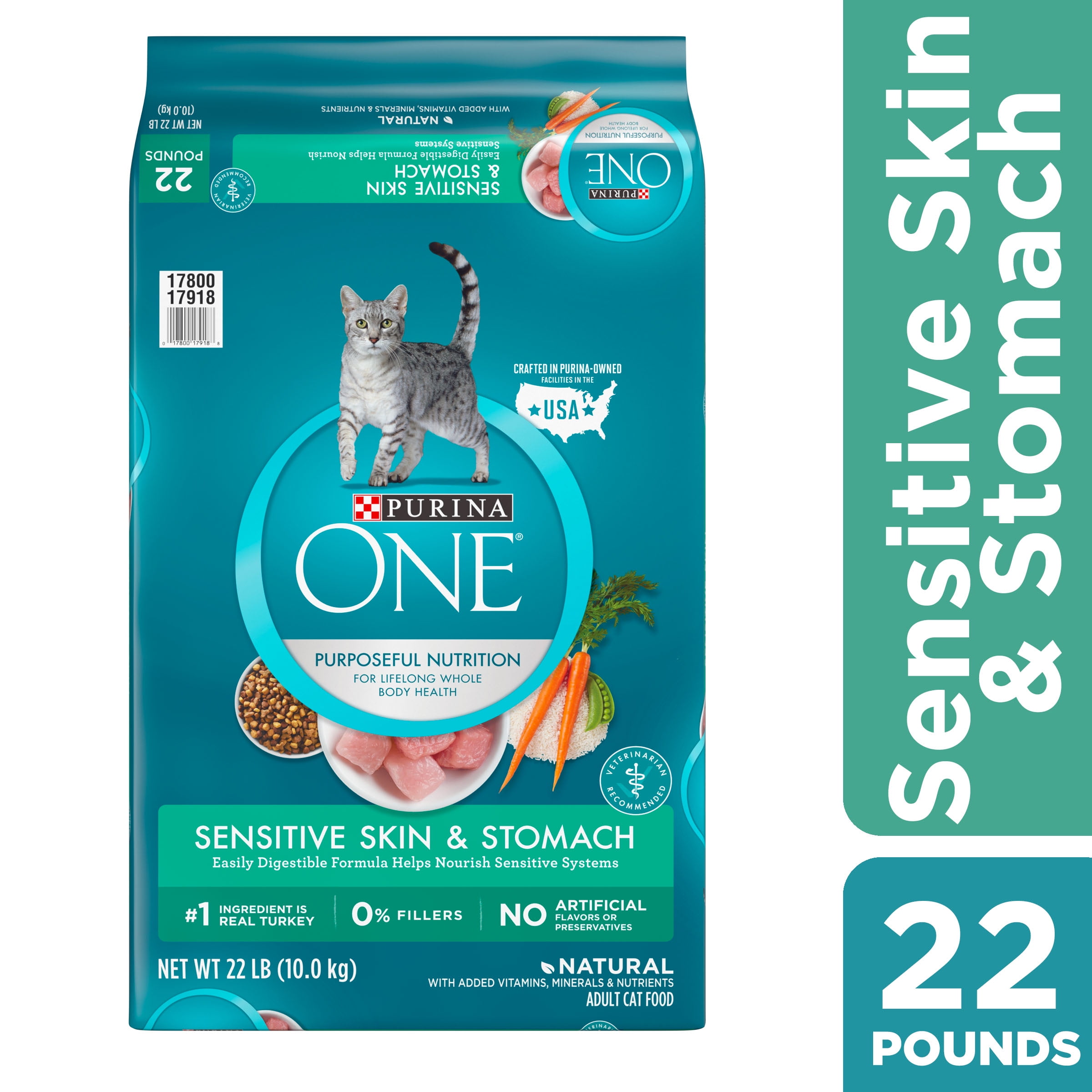 Purina ONE Natural Dry Cat Food, Sensitive Skin & Stomach Formula, 22