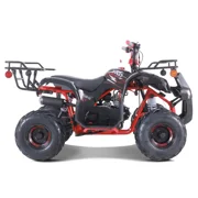 TaoTao D125 125cc Fully Automatic Mid Utility ATV
