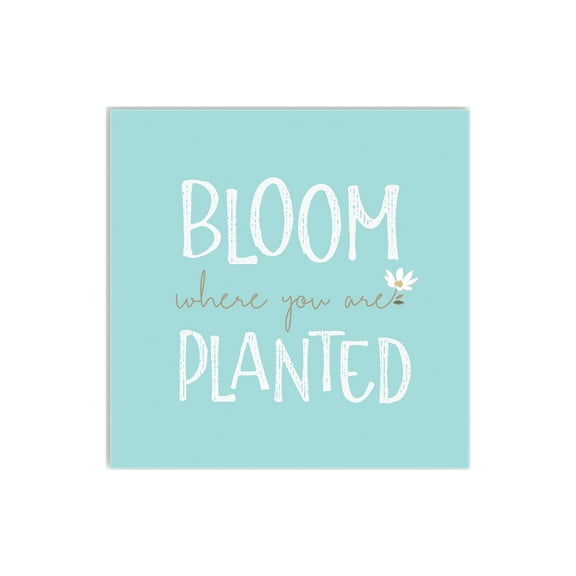 Bloom Where Planted Powder Blue Floral 12 x 12 Wood Wall Sign Plaque