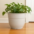 thumbnail image 4 of Garden Elements Indoor/Outdoor Glazed Brushed Happy Plastic Planter, Large, Cream, 15", 4 of 4