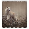 thumbnail image 3 of Ambesonne Animal Shower Curtain, White Wolf on the Rocks, 69"Wx84"L, Warm Taupe, 3 of 3