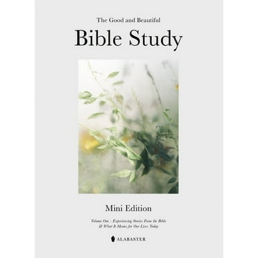 The Mini Good and Beautiful Bible Study: Experiencing Stories from the Bible and What It Means for Our Lives Today, (Paperback)