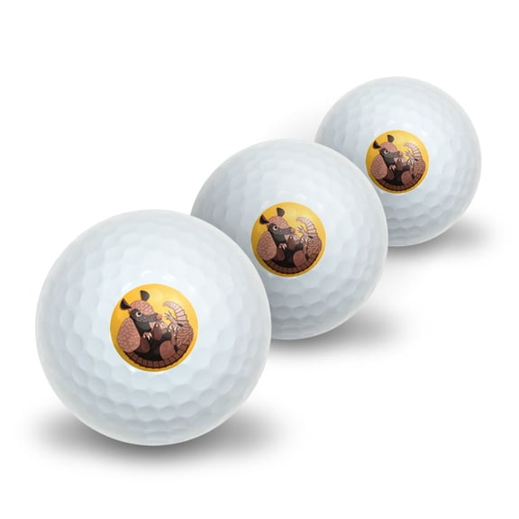 Armadillo Texas Cingulata Novelty Golf Balls 3 Pack