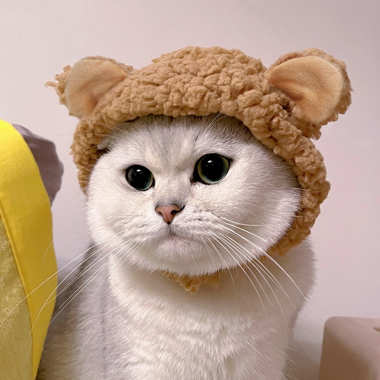 Cat Hat Cat Dog Costume Cute Pet Hat Bear Shape Hat with Ears Headwear New  Years Day Party Accessory for Kitten Puppy Dress up Adjustable Birthday Hat