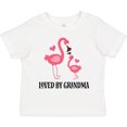 thumbnail image 3 of Inktastic Grandma Loves Me Flamingo Grandchild Gift Girls Toddler T-Shirt, 3 of 5