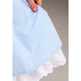 thumbnail image 5 of Toddler Deluxe Kansas Girl Costume, 5 of 7