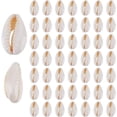 thumbnail image 1 of 200 cuentas de concha de cauri natural en espiral para la playa, ideales para manualidades y joyería., 1 of 4