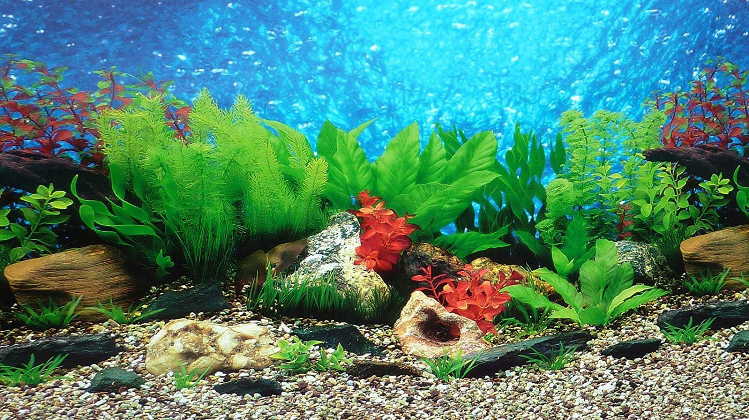 ELEBOX New 20 x 48 Fish Tank Background 2 Sided River Bed & Lake Background Aquarium