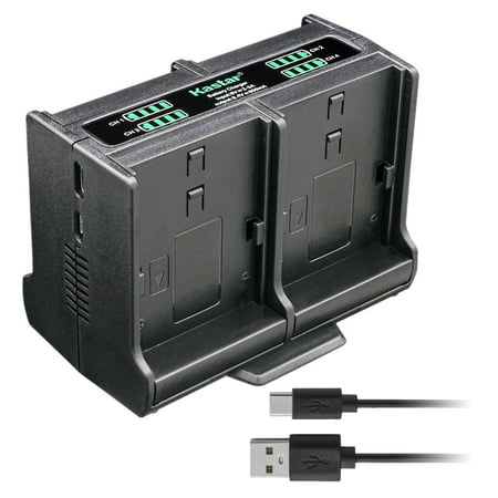 Kastar Quadruple Battery Charger Compatible with Canon HF G10 HF G20 VIXIA HF M30 VIXIA HF M31 VIXIA HF M32 VIXIA HF M36 VIXIA HF M300 VIXIA HF M301 VIXIA HF M306 Camera