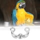thumbnail image 3 of Anillo de pie de pájaro de metal resistente y duradero 5 piezas de anillo de pie de entrenamiento de loros de metal de alta para pájaro mascota pájaro anillo de pie ANGGREK Otros, 3 of 8