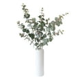 thumbnail image 5 of (2 pack) 41-inch Artificial Silk Grey Green Eucalyptus Long Stem, for Indoor Use, by Mainstays, 5 of 9