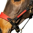 thumbnail image 3 of Whitaker Collier de Tête Cheval Harewood, 3 of 3