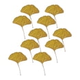 thumbnail image 1 of Hojas prensadas secas,Hojas prensadas secas para manualidades con resina hojas de otoño,hojas secas para decoración resina epoxi,hojas prensadas arte de pared a granel arte enmarcado, 1 of 9