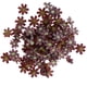 thumbnail image 2 of Flor de Margarita de seda artificial 100 Piezas Cabeza de Flor Artificial Margarita de Seda Decoración de La Boda Café Oscuro Magideal Flor de Margarita de seda artificial, 2 of 7