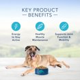 thumbnail image 2 of Senior - Life Protection - Chicken & Brown Rice - Dry Dog Food, 2 of 5