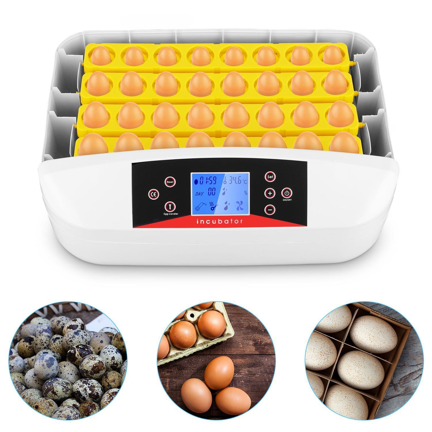Poultry Chicken Quail 32 EGG DIGITAL INCUBATOR AUTOMATIC TURNER Local USA Dealer 