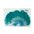 thumbnail image 2 of Zucker Feather Products Feather Hackle Plates - 12 pcs - 10" x 5.5" - Dark Aqua, 2 of 2