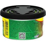 Little Trees Auto Air Freshener, Fiber Can, Green Apple Fragrance 1.05oz