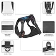 thumbnail image 3 of Naloa Forest Cool Lion Pet Harness Vest with Traction Rope, Adjustable No-Choke Dog Vest for Outdoor, Walking - Medium, 3 of 4