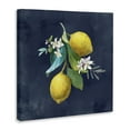 thumbnail image 4 of Stupell Industries Lemon Cluster on Blue Food & Beverage Painting Wrapped Canvas Art Print Wall Art, 17 x 17, 4 of 8
