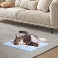 thumbnail image 3 of Tapis de Gel pour Animaux de Compagnie en Plastique Réutilisable Double Couche Design Refroidissement Instantané Portable Léger pour Chiens Chats Petits Animaux Usage Intérieur Extérieur, 3 of 4