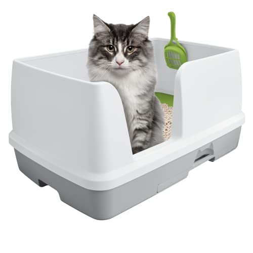 Litière Pour Chat Tidy Cats Breeze Cat Litter System Review