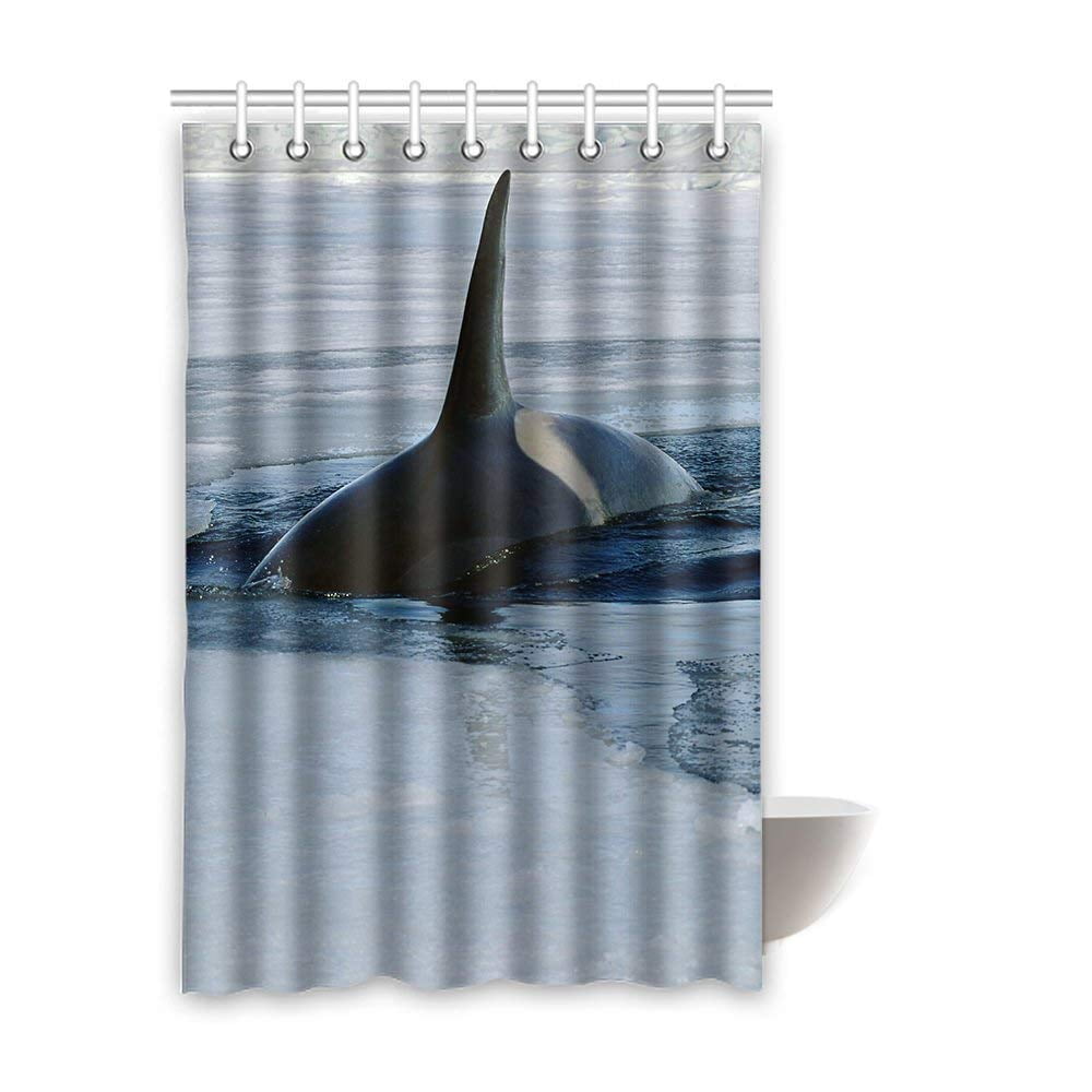 BPBOP Whale Waterproof Polyester Bathroom Shower Curtain 48x72 Inches