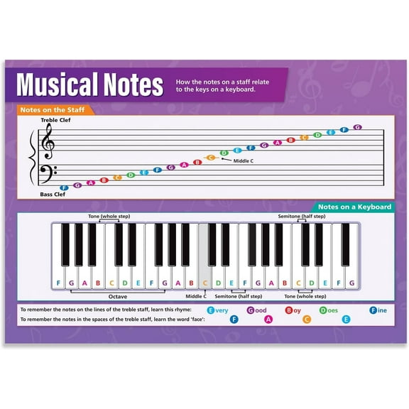Musical Notes Classroom Poster  Music Middle & High School Class Decoration