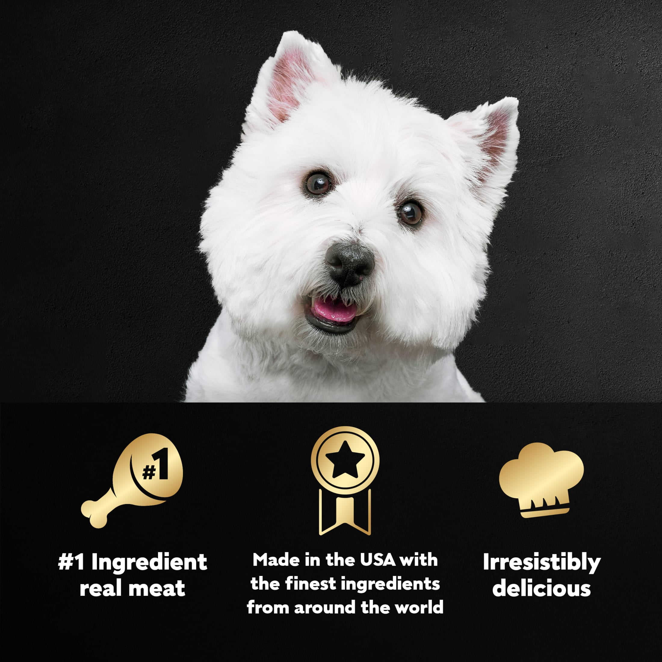 (6 pack) Cesar Loaf & Topper In Sauce Ham & Egg Flavor With Potato & Cheese Wet Dog Food, 3.5 Oz Tray