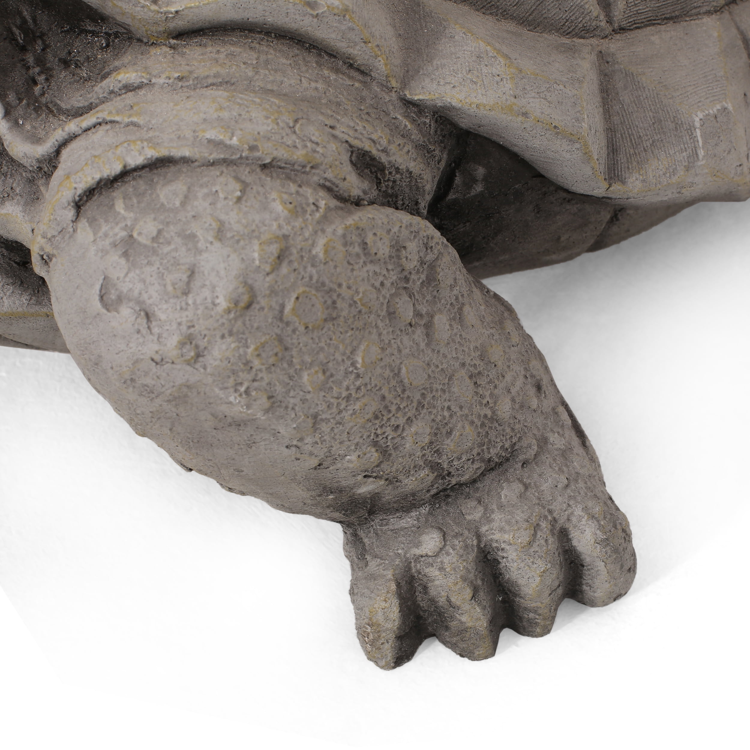 Noble House 8" Orwell Cast Stone Outdoor Turtle Garden Statue