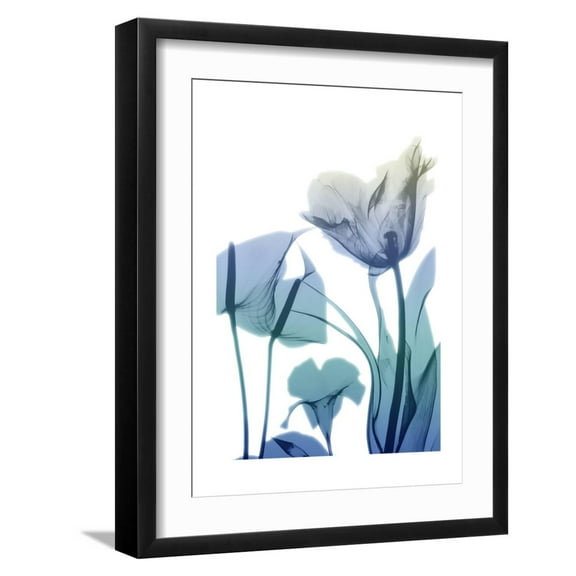 Art.com Morning Bloom 2 Art Print by Albert Koetsier, Black Frame Wall Art, 17" x 21"