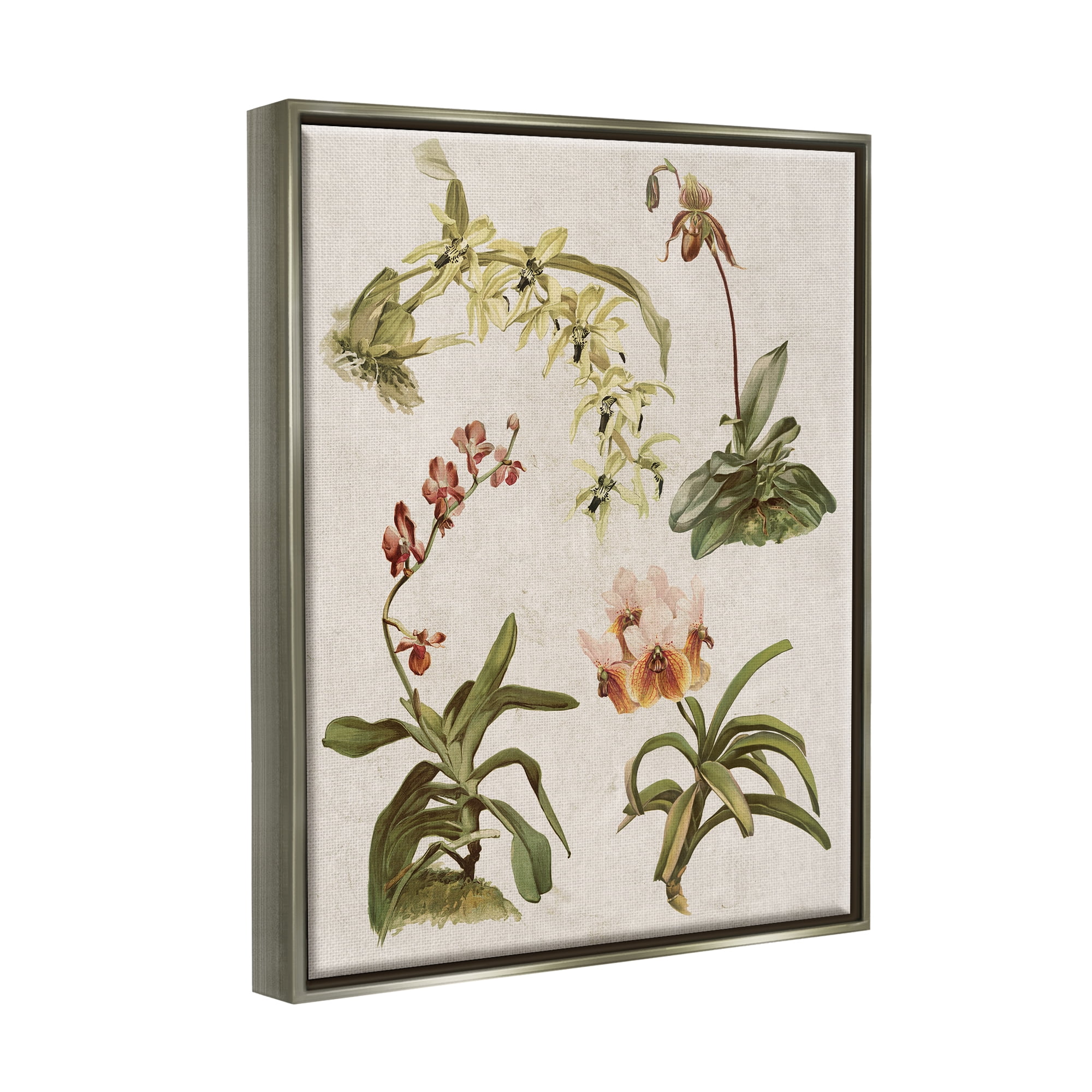 Stupell Vintage Latin Study Flowers Nature Botanical & Floral Painting Gray Floater Framed Art Print Wall Art