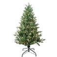 thumbnail image 1 of Kurt Adler TR60450PLC Arbre de Pin Jackson Incandescent Clair Pré-Éclairé de 4,5 Pi, 1 of 1