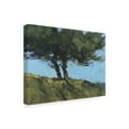 thumbnail image 2 of Trademark Fine Art 'Hawthorne Duo' Canvas Art by Paul Bailey, 2 of 4