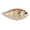 White Gill, variant on Berkley SlapGill Fishing Lure, 3.8 in, White Gill (1-count)
