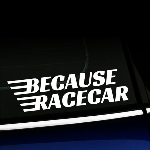 Because Racecar - Vinyl Decal - Choose Color - [WHITE]