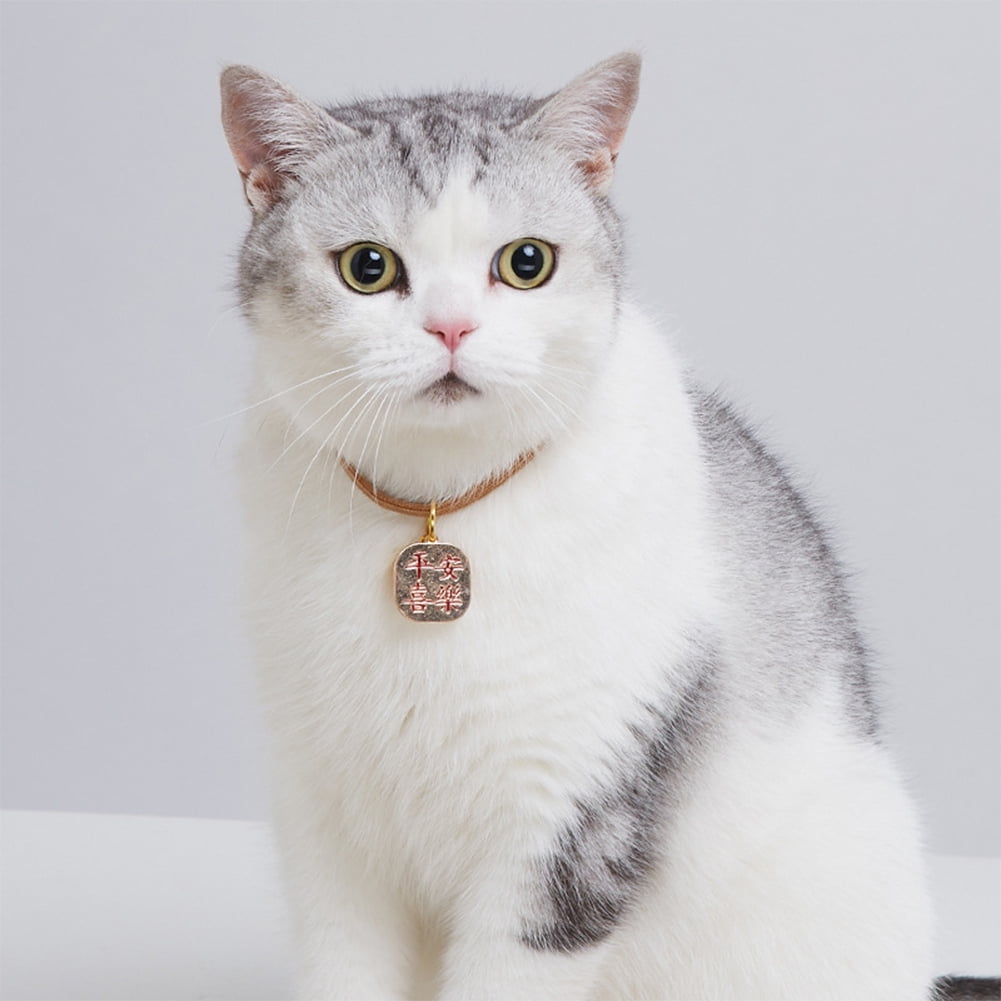 Jewelry for cats to wear new arrivals