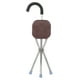 thumbnail image 2 of Taburete de Bastón Plegable Silla de Bastón Portátil con Acero Inoxidable Gran Capacidad de Carga Conveniente Y Práctico para Personas Mayores Estable Y Segura, 2 of 8